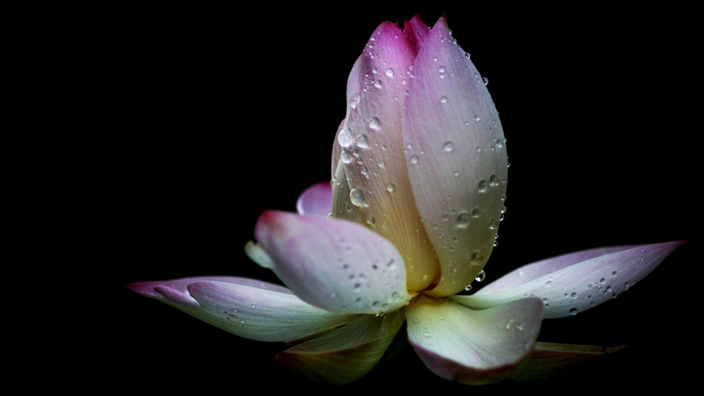 邪性造成的恶果怎么消除,邪与淫的危害你知道吗