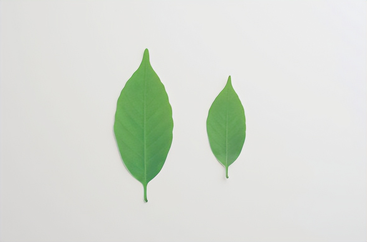 奇奇怪怪又可可爱爱的杂货，都在日本人玩不完的脑洞里