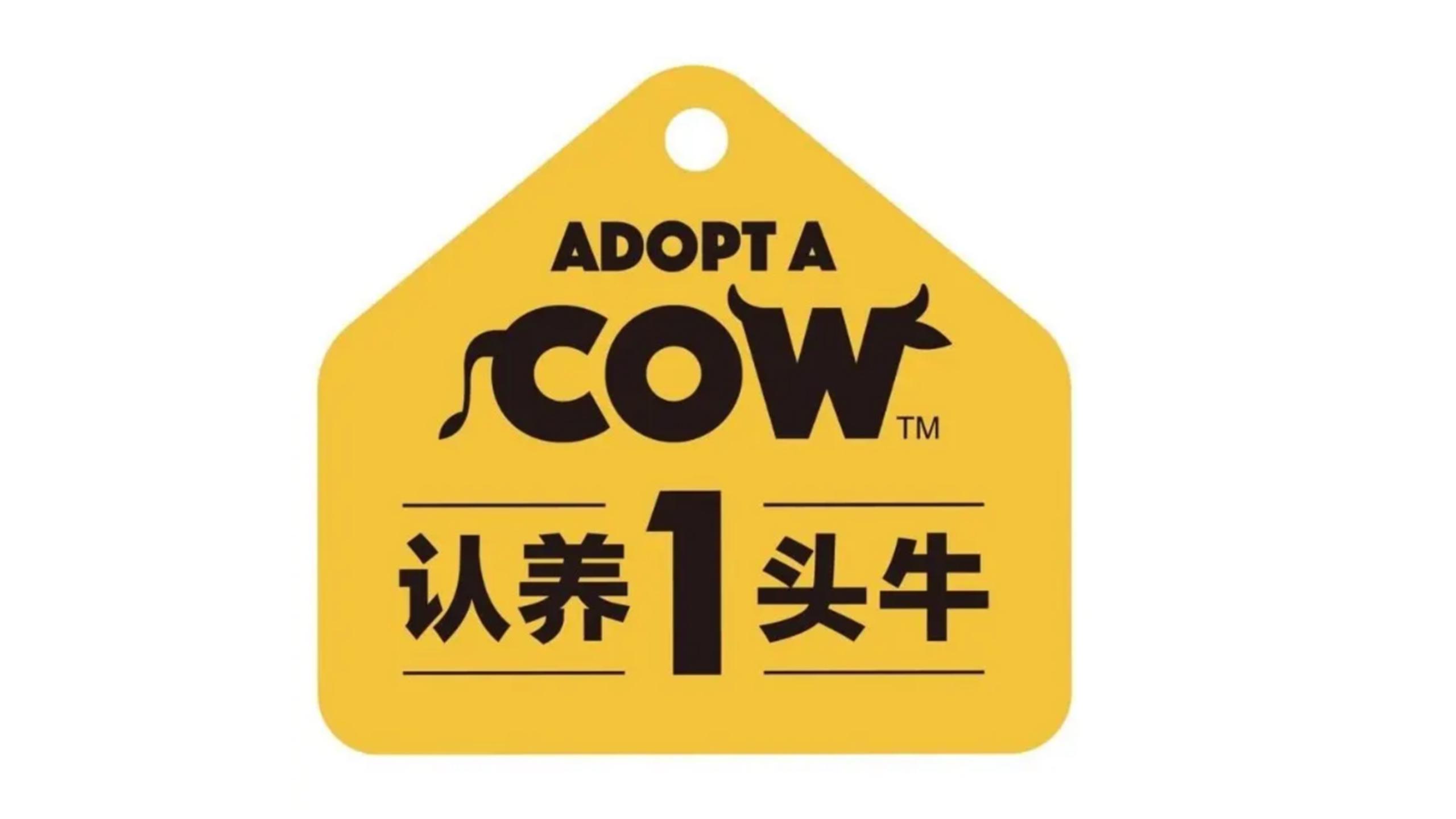 认养一头牛不同品类,认养一头牛品类的比较