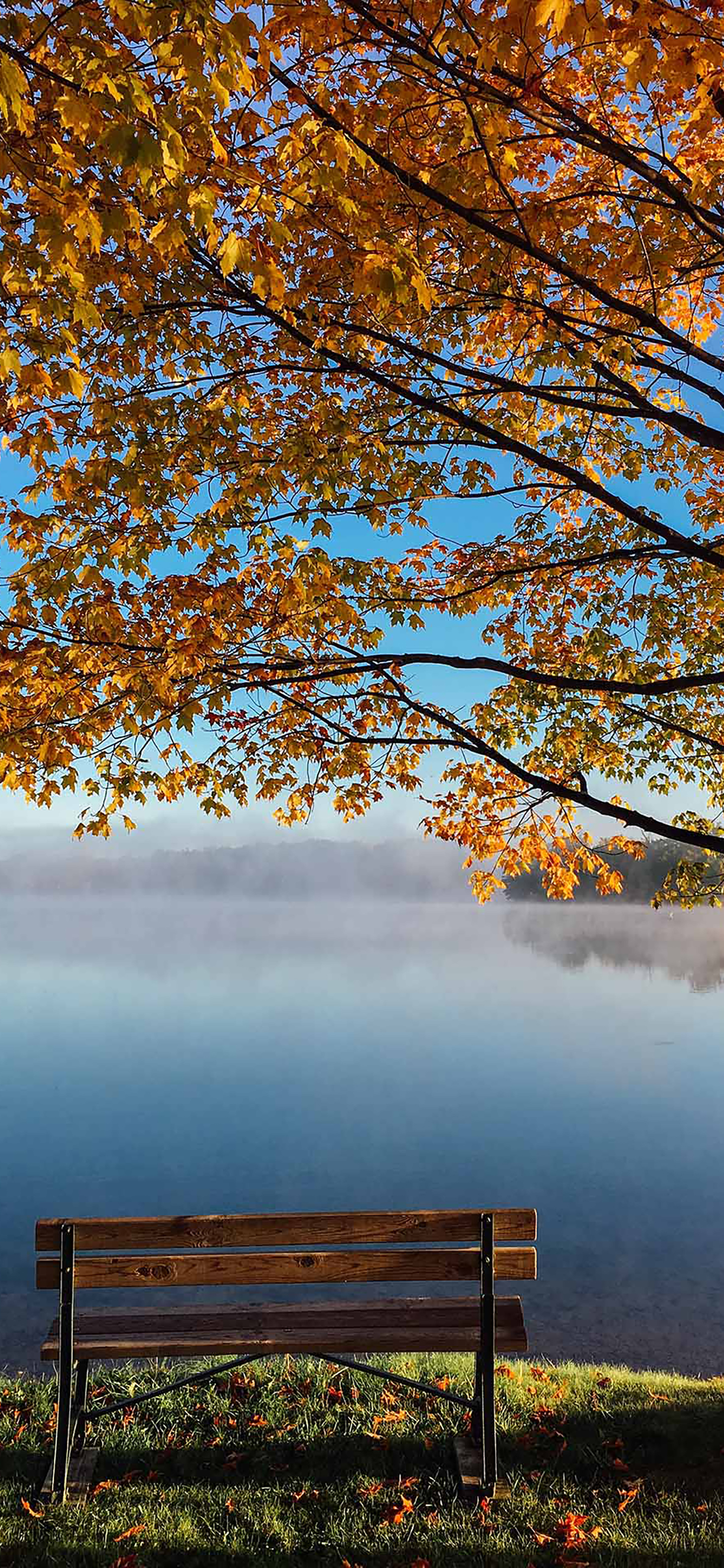 风景壁纸春,春天有百花秋有凉风冬有雪壁纸