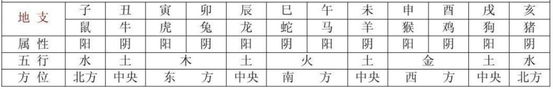 天干地支五行八卦入门,天干地支五行八卦阴阳学