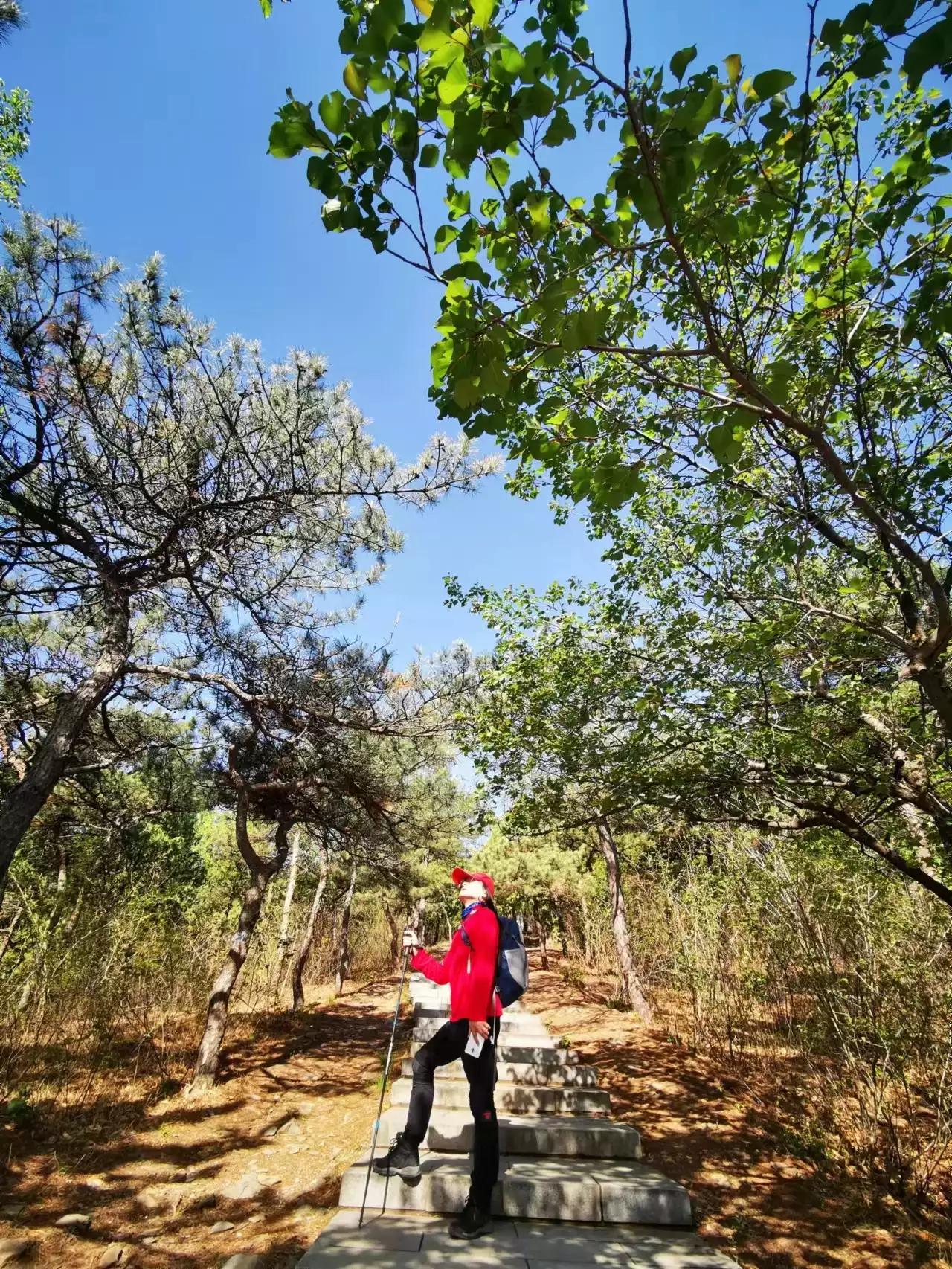 北京西山公园怎么样,北京西山公园国家森林公园