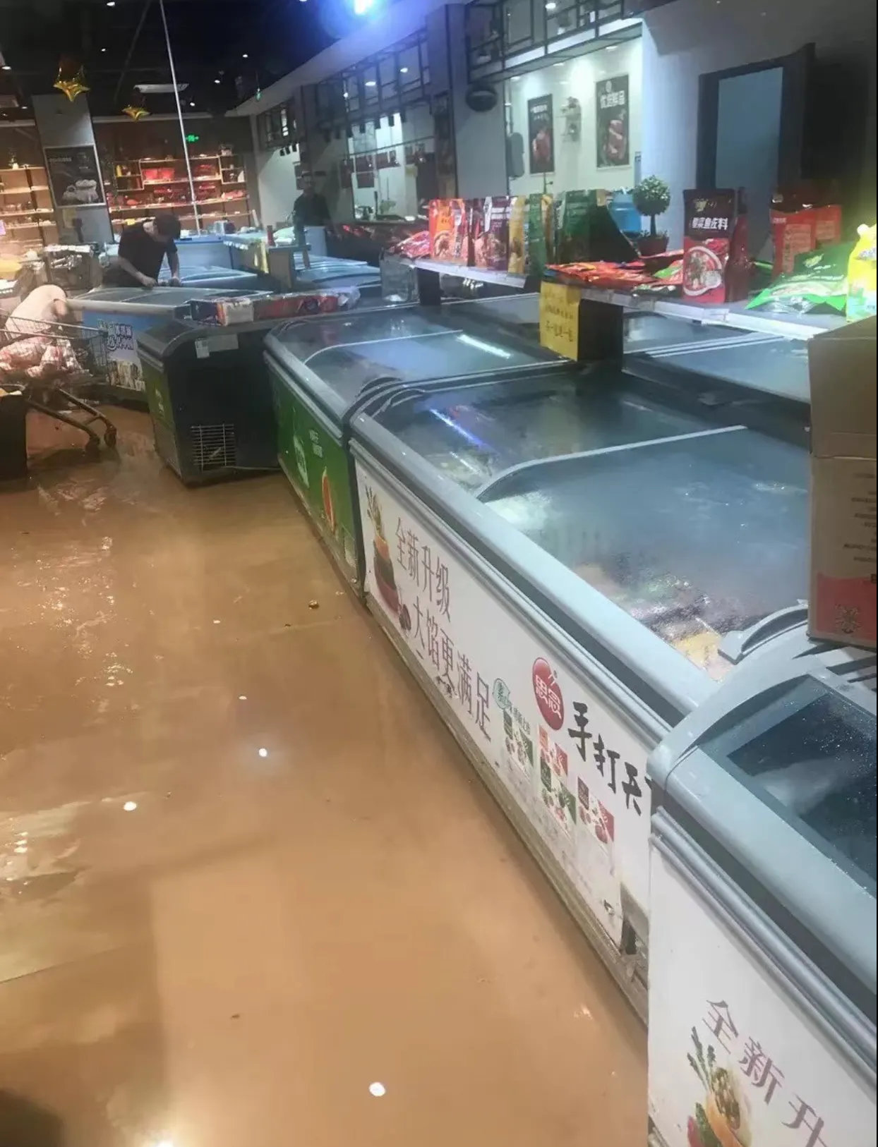 暴雨后广西老叔家里游进一群“食人鲳”，老叔懵圈：不知道哪来的