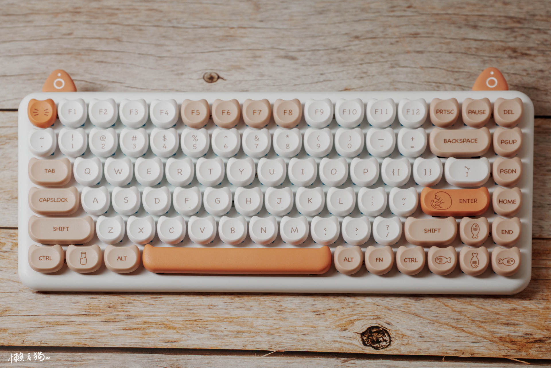 强烈推荐的键盘,推荐这几款键盘