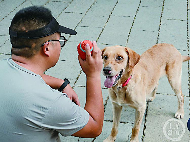 重庆首只水上搜救犬,重庆首只水上救援犬