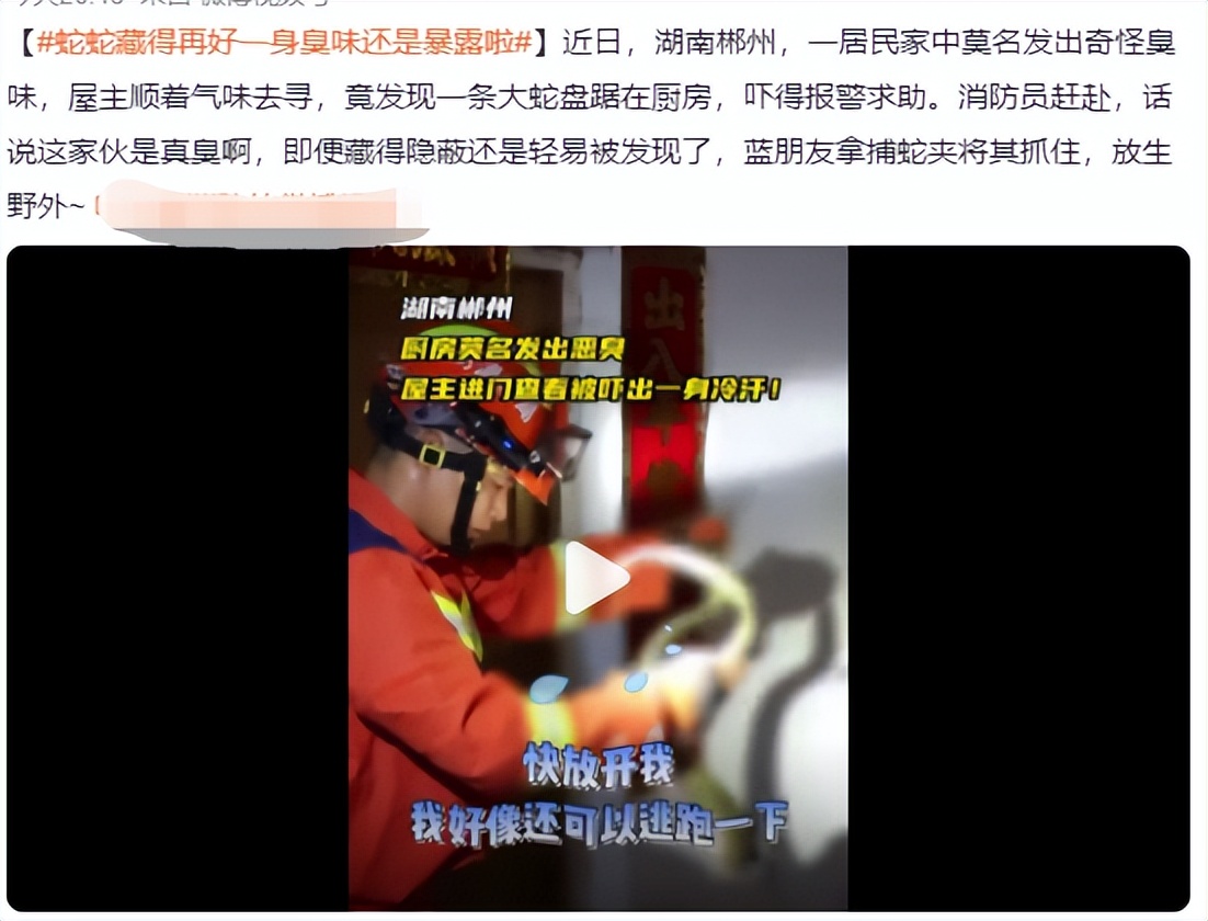 什么蛇有毒湖南,湖南地区的有毒的蛇有哪些