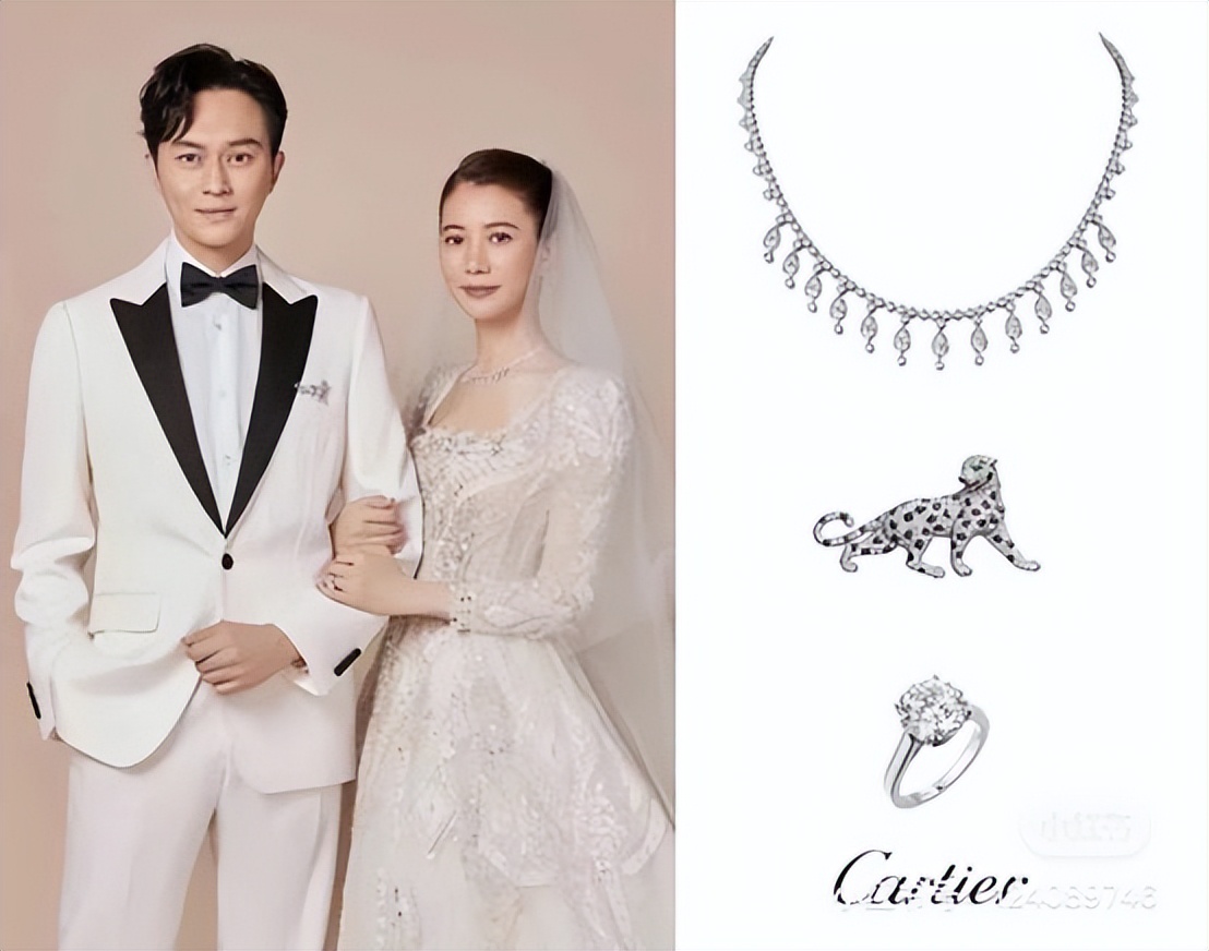 苏有朋谈张智霖袁咏仪,袁咏仪张智霖苏有朋