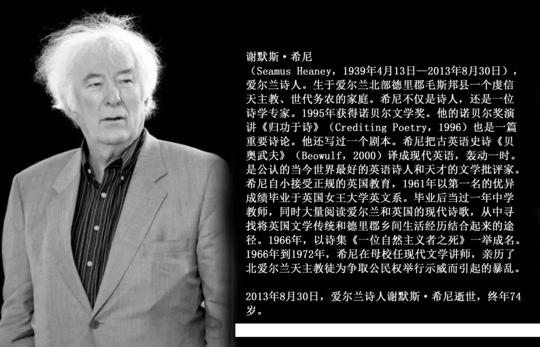 获得诺贝尔文学奖的作者和作品,诺贝尔文学奖作家作品总结