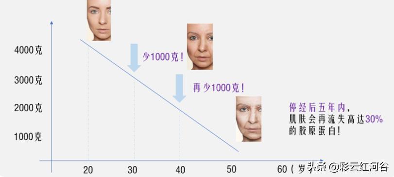 胶原蛋白是不是长期才有效,胶原蛋白什么年龄开始补
