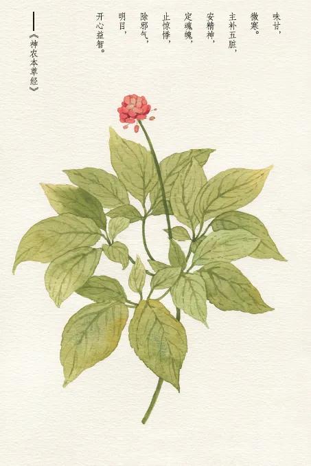 直肠无力盆底肌痉挛,盆底肌痉挛直肠无力