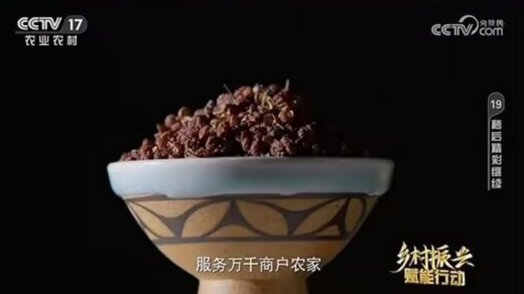 “黾池农仓”：电商助农，架起农民致富桥丨CCTV-17公益展播