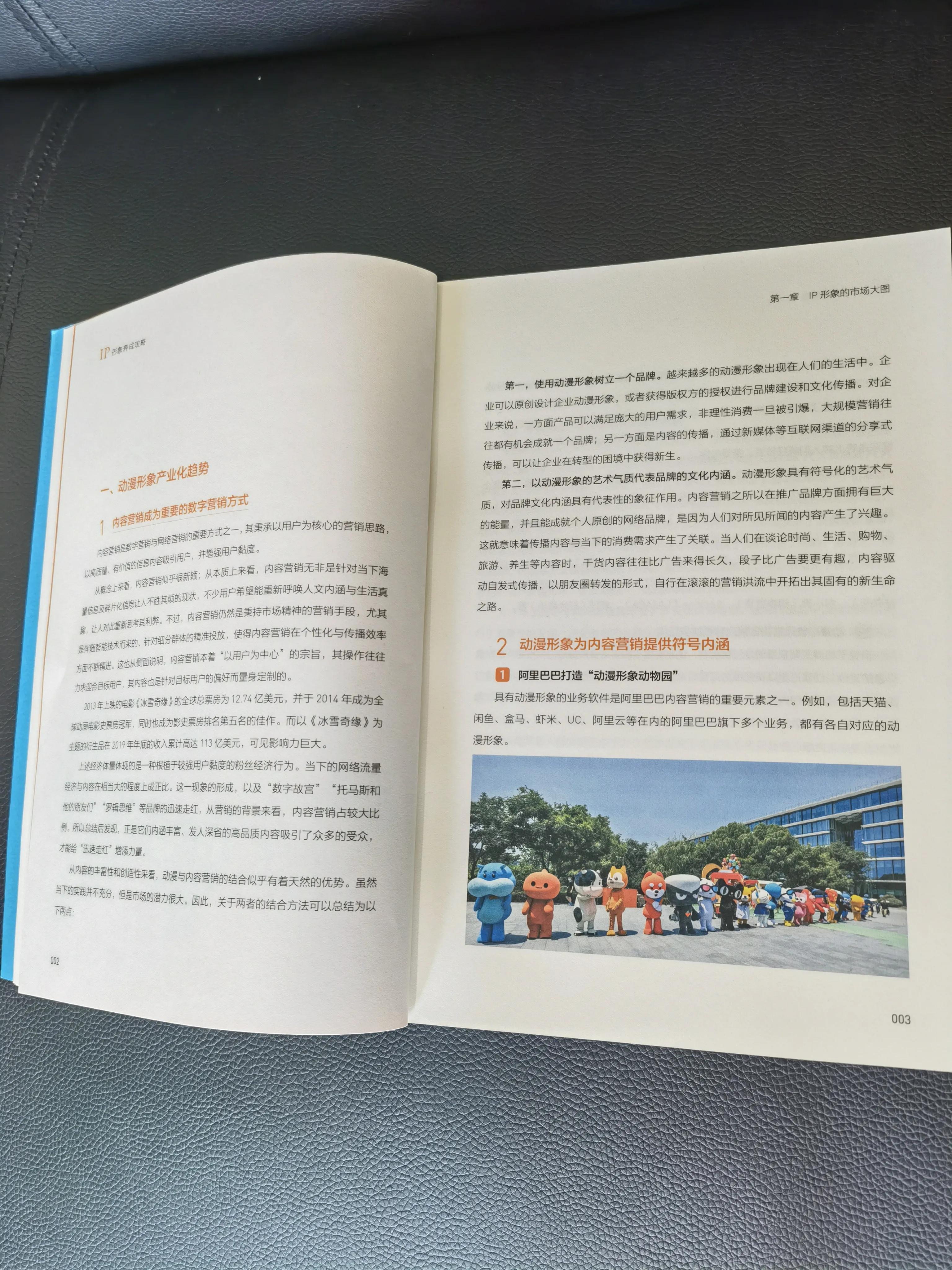 鍔ㄦ极ip褰㈣薄,ip鍔ㄦ极褰㈣薄澶у叏