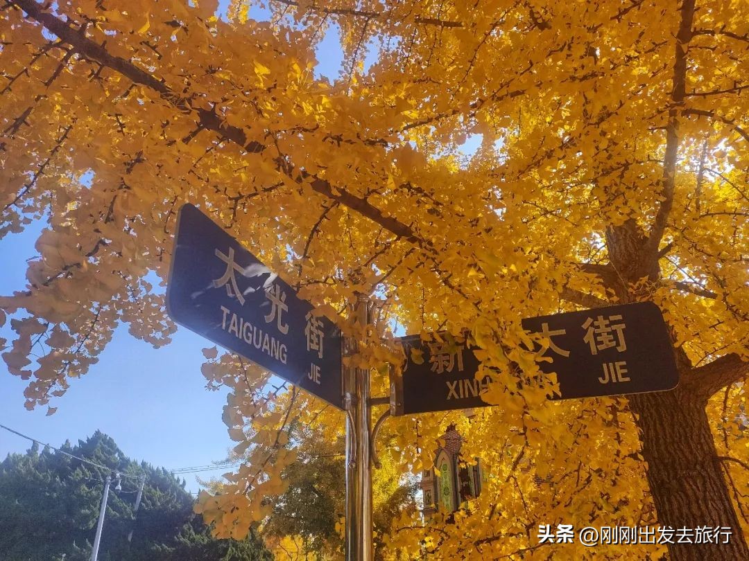 大连旅顺口景区旅游景点,抚顺旅顺太阳沟景区一日游