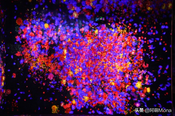 澳门难忘的一次旅行,澳门每来一次都有不一样的惊喜