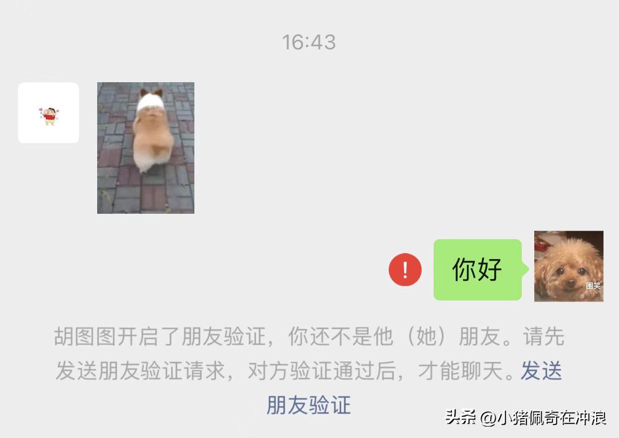 怎么知道微信好友是删除还是拉黑,删除和拉黑微信好友有什么区别