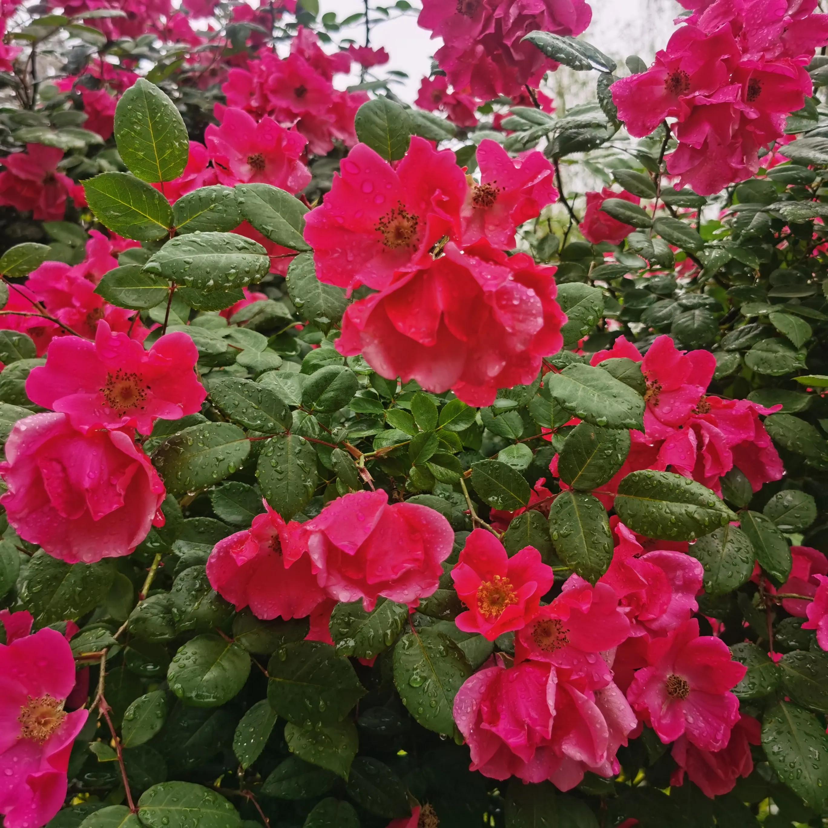 假期过完开始搬砖,假期用完开始搬砖