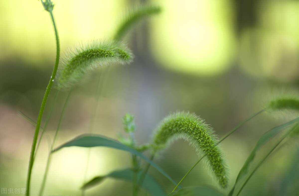 旧文阅读,旧文新读