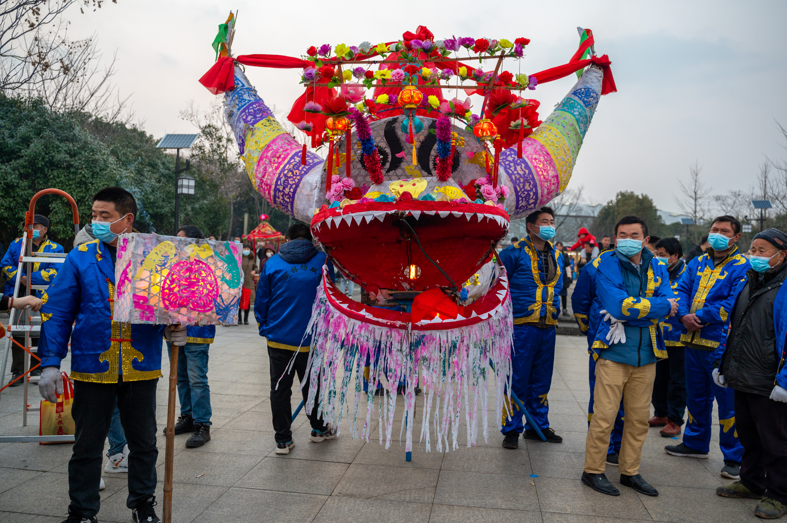 金陵梅花山,南京梅花山赏梅