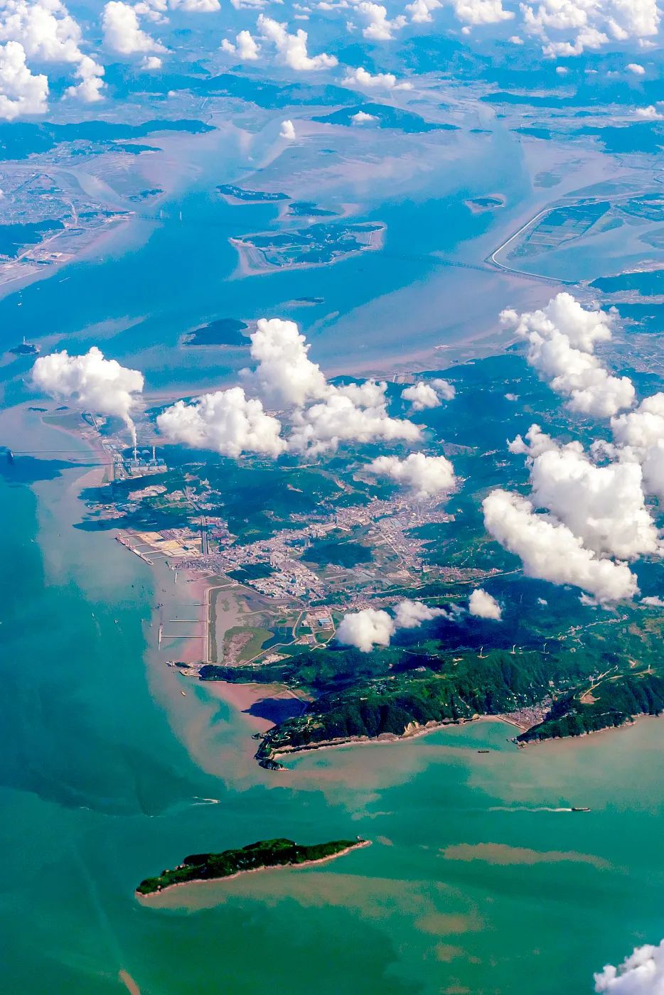 沙蒜冷门小海鲜,望潮最好吃的海鲜