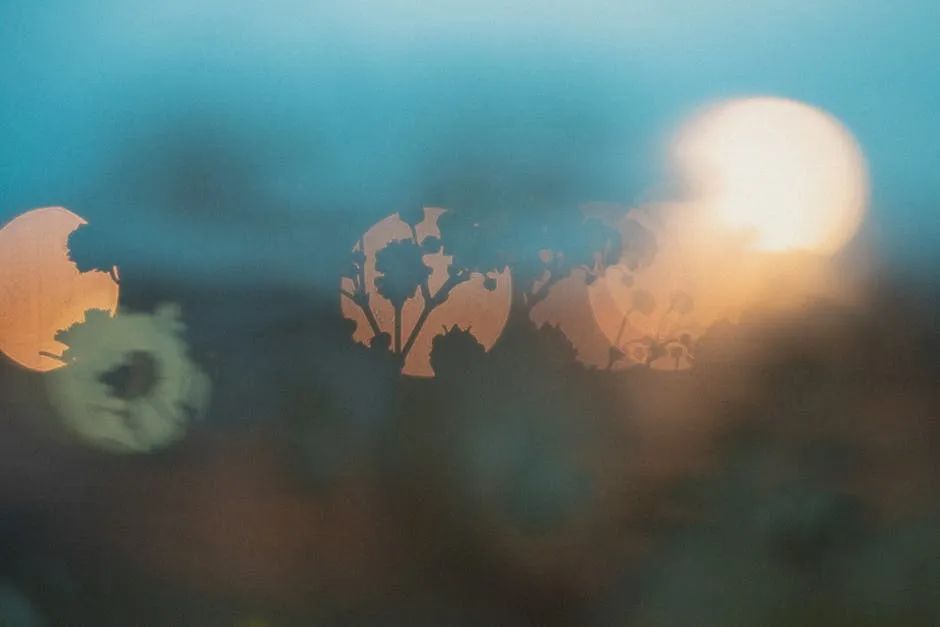 自媒体怎么养号才能赚钱简单三步,做自媒体第七天能赚钱吗