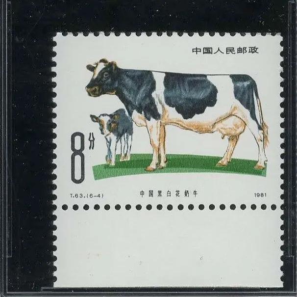 t63牧牛邮票,畜牧牛邮票