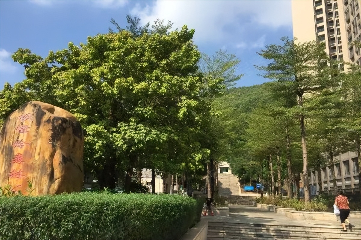 惠州公园山的房子怎么样,大亚湾公园上城入住率怎样