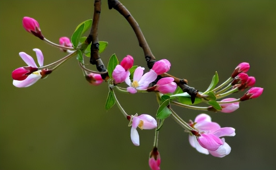 什么样的教育方式才能让孩子成功,成功父母教育孩子的方式