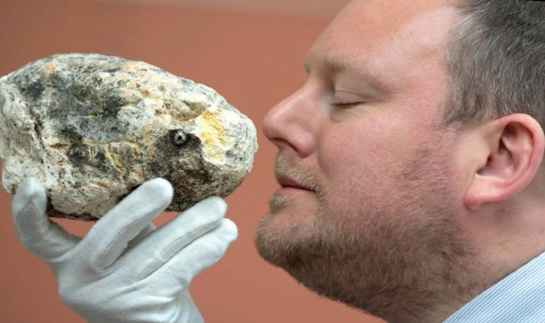 香水原料有粪便,香水是不是用动物粪便做成的