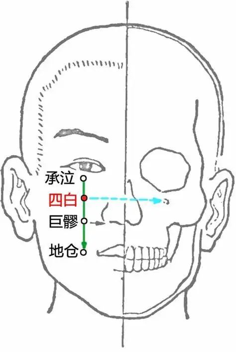 黑眼圈重按哪个穴位,眼睛周边的穴位改善黑眼圈