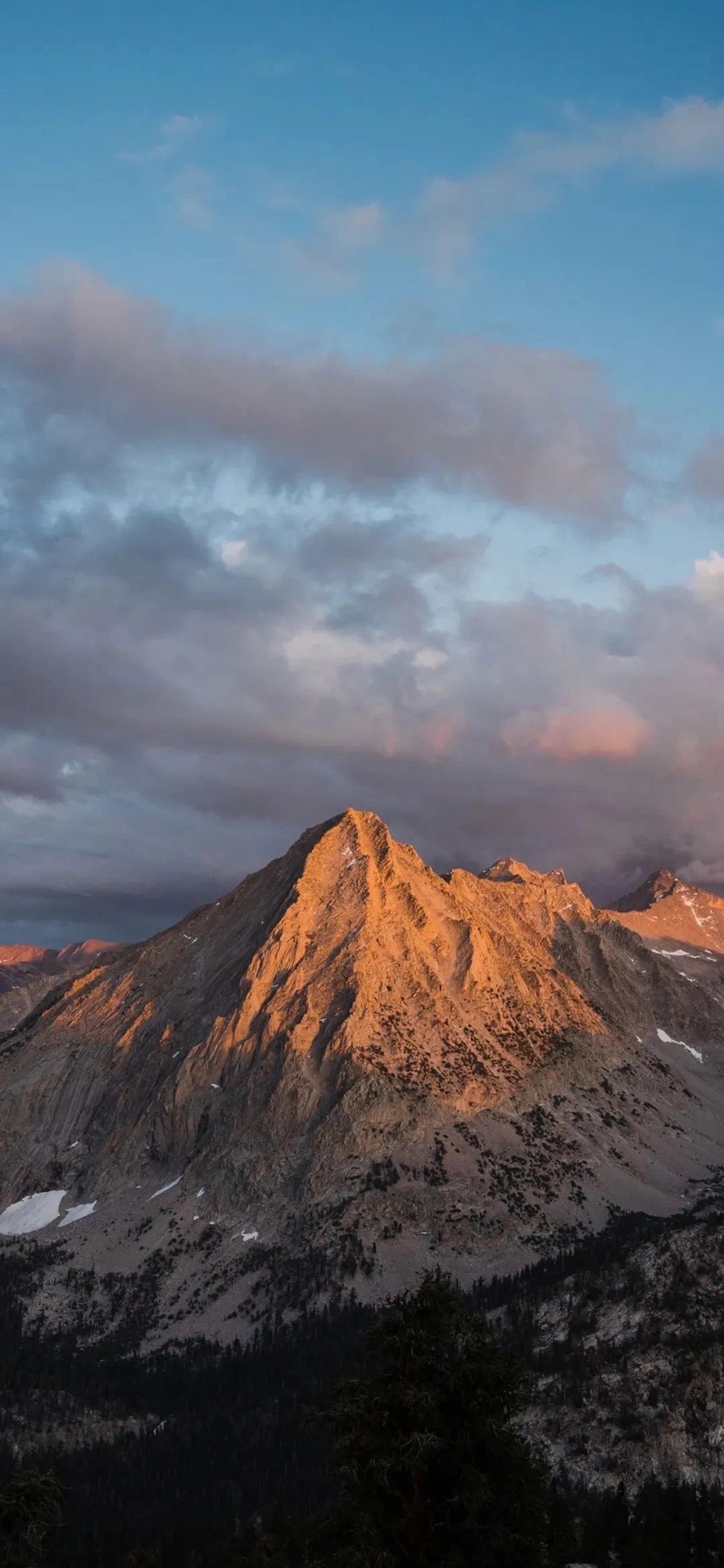 生活就是一种心境恬淡随性,生活是一种心情的语录