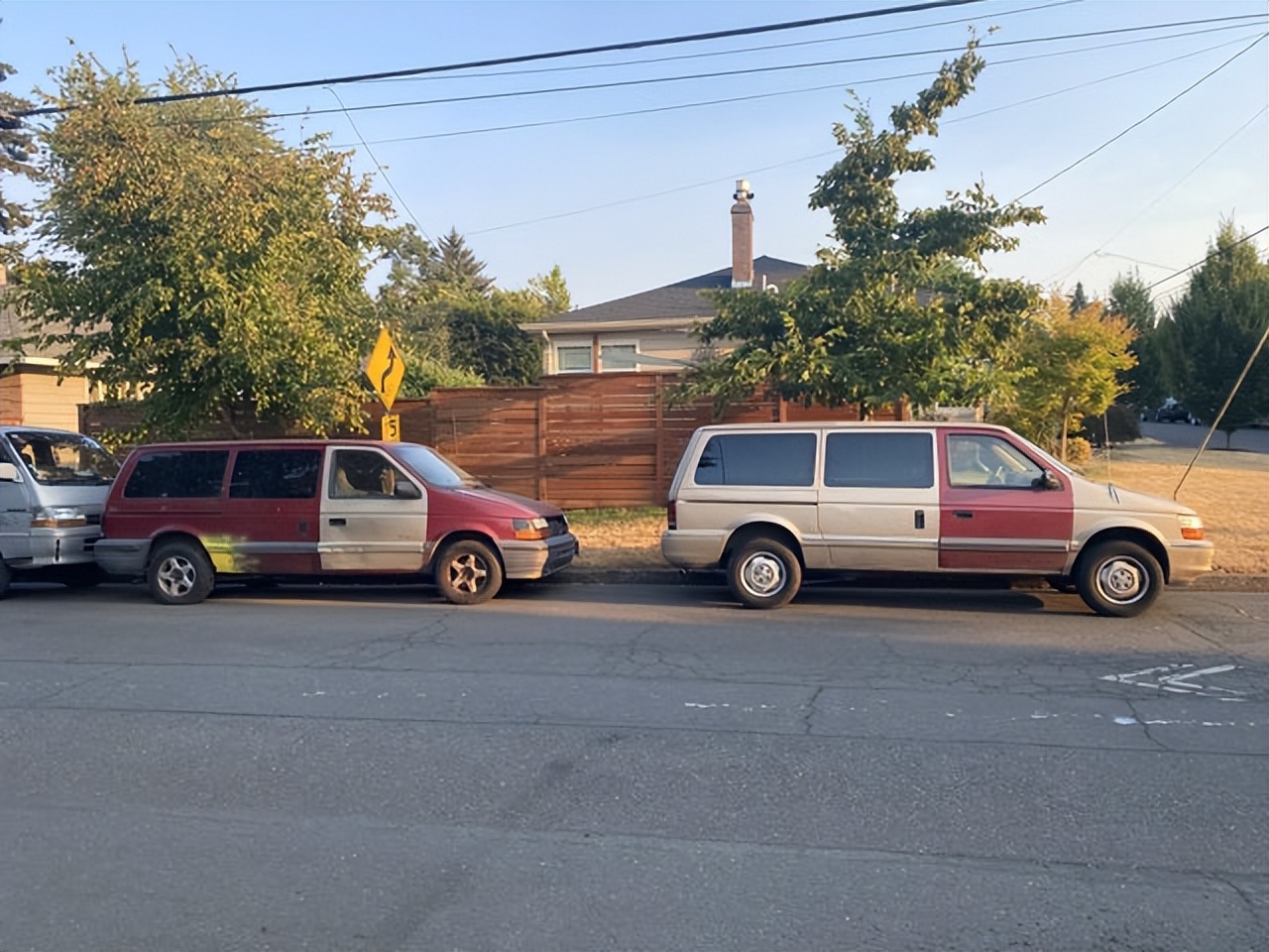 30张活久见的对比照,鳄鱼被电鳗电死的视频