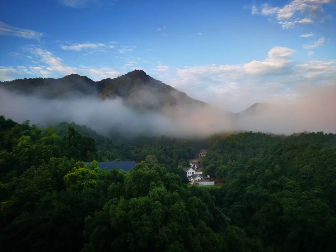 陈寅恪是湖南人还是江西人,陈寅恪是义门陈后人吗