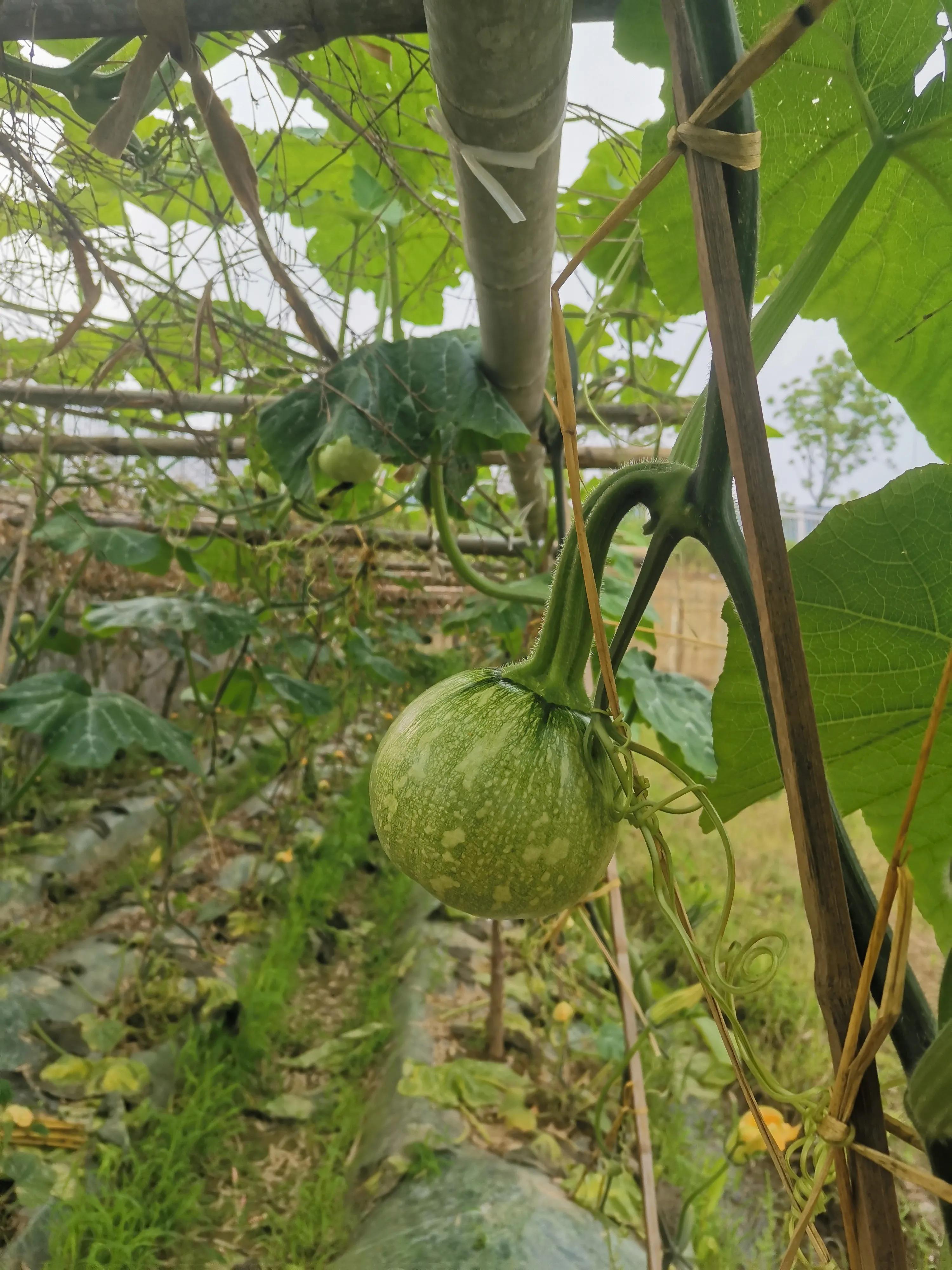 赏山水美景享田园生活,拥抱自然山水乐享田园风光