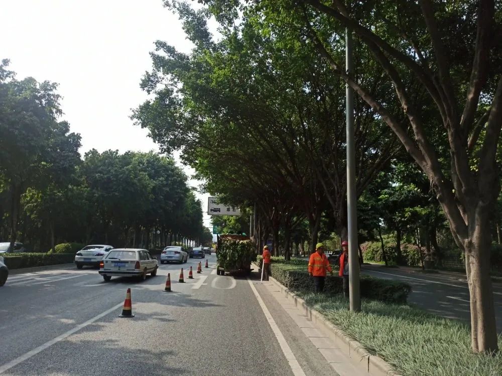 南宁交警护航视频,南宁发光斑马线抓拍