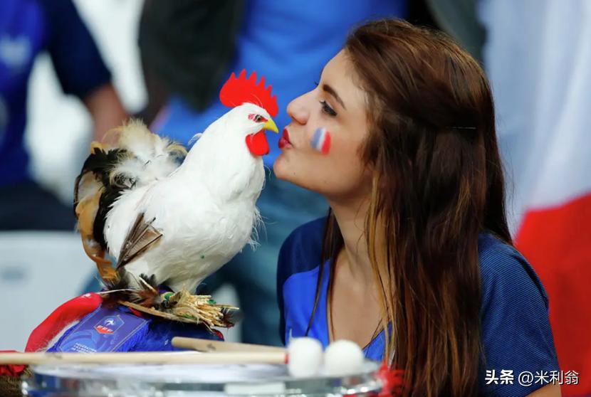 法国为何称高卢雄鸡,为什么法国叫高卢雄鸡