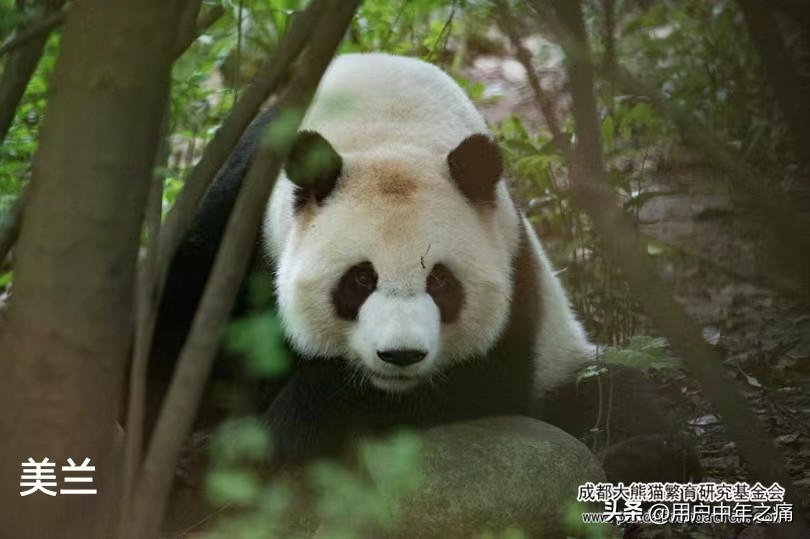 天之骄女是哪一年的,天之骄女重生归来小说