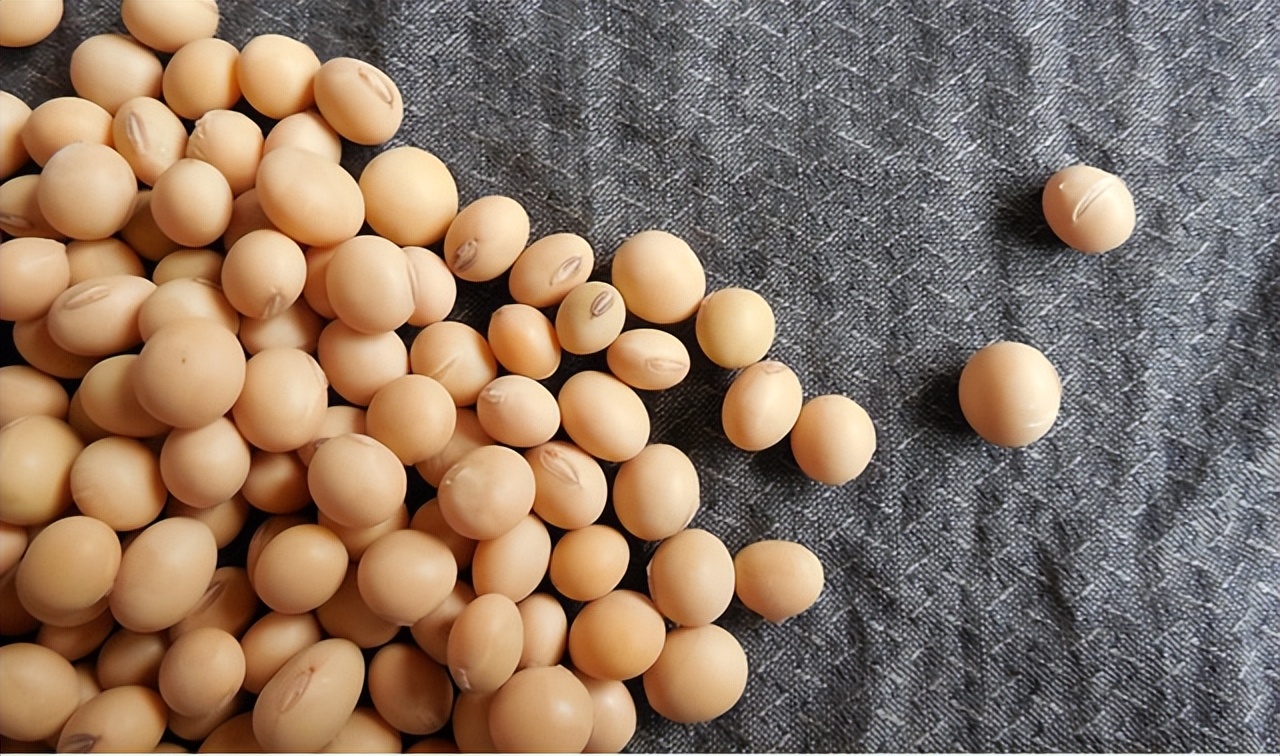 实验室怎么测乙醇浓度,实验室常用的bca蛋白质测定方法