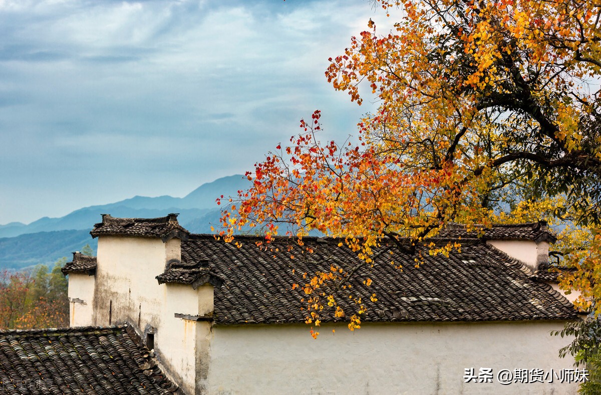 期货高手干货,期货交易短线选品种技巧