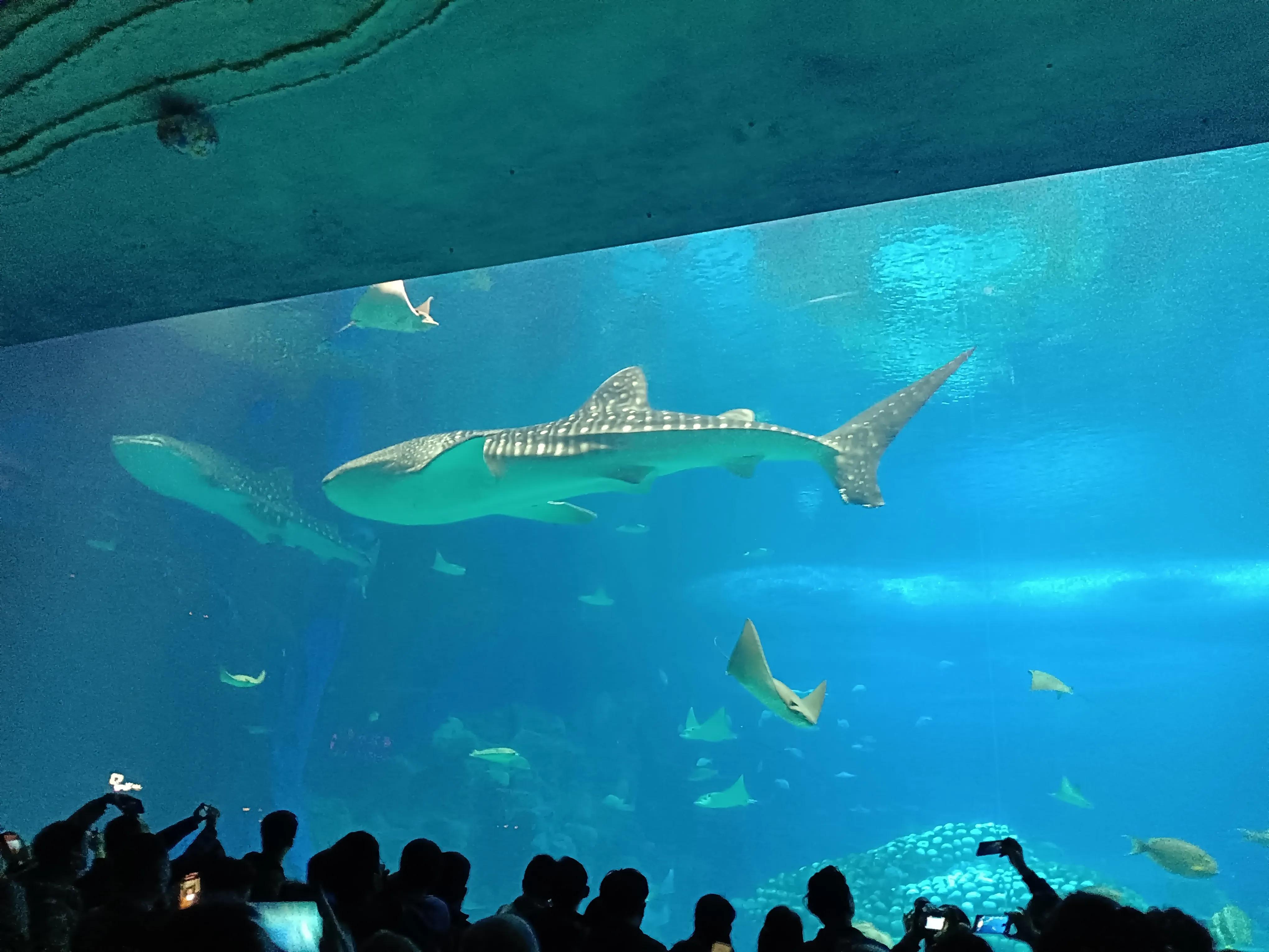 越过珠海,广州到深圳路过珠海吗