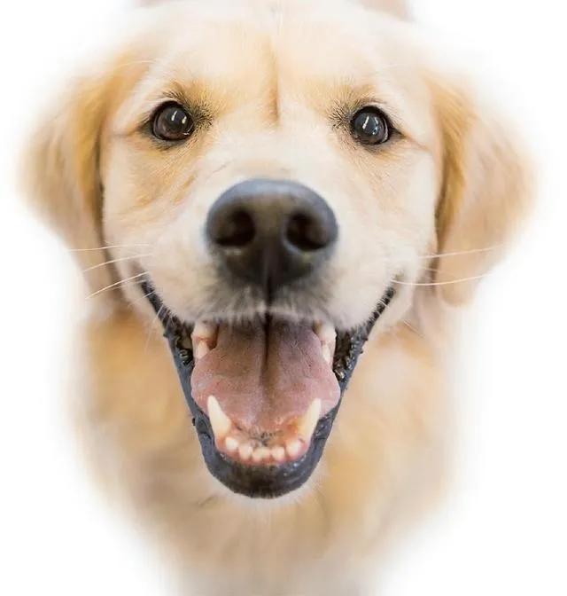 孩子眼神黯淡无光学习没动力/原因找到了