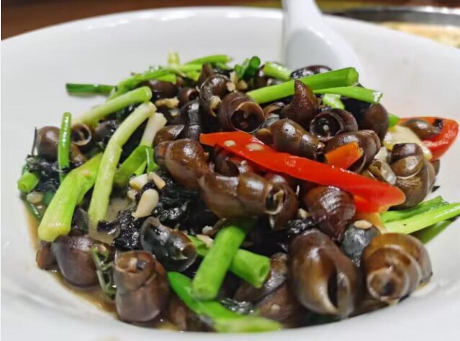 罗浮山温泉品质特色民宿推荐,惠州罗浮山脉下的乡野秘境民宿