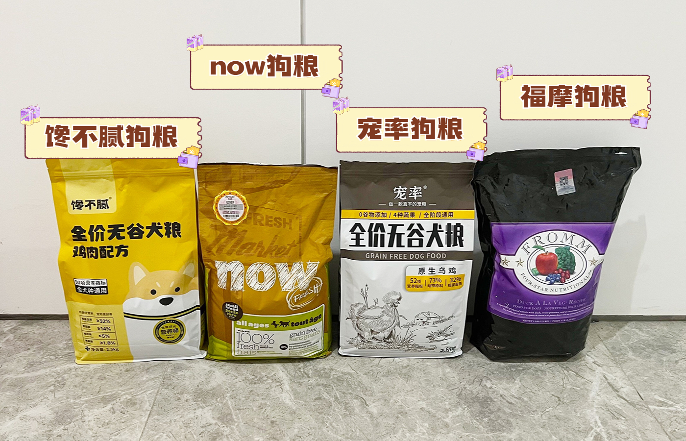 小型宠物吉娃娃好养吗,吉娃娃不建议养的狗有哪些