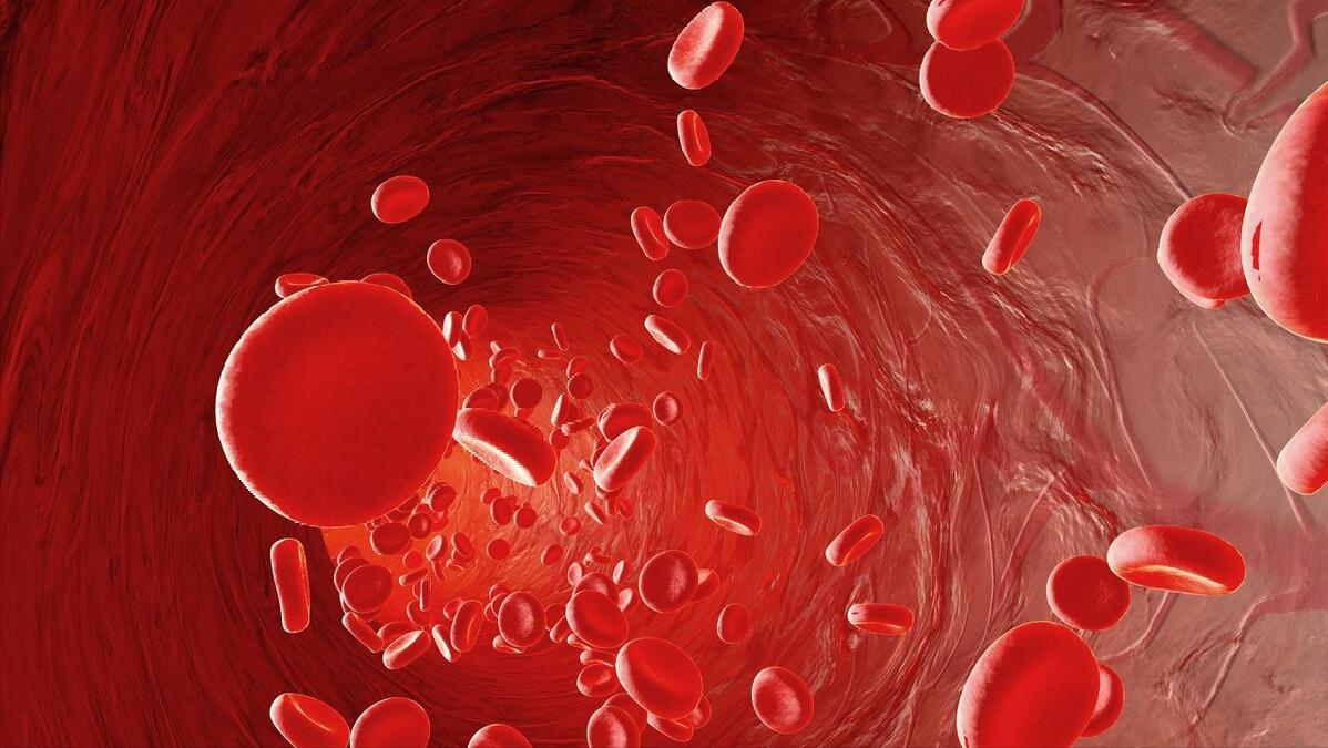 盘点十种神奇动物的价格,盘点五种有巨毒的生物