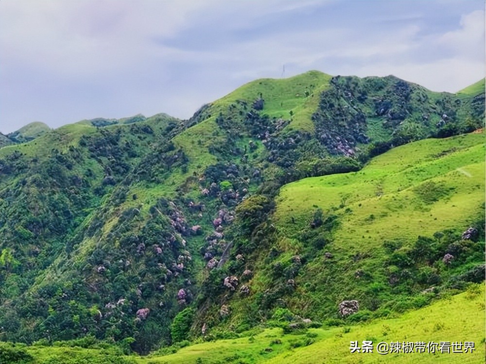 海岸线：邂逅*江阳**——感受这座慢节奏小城文化底蕴感悟人文之美