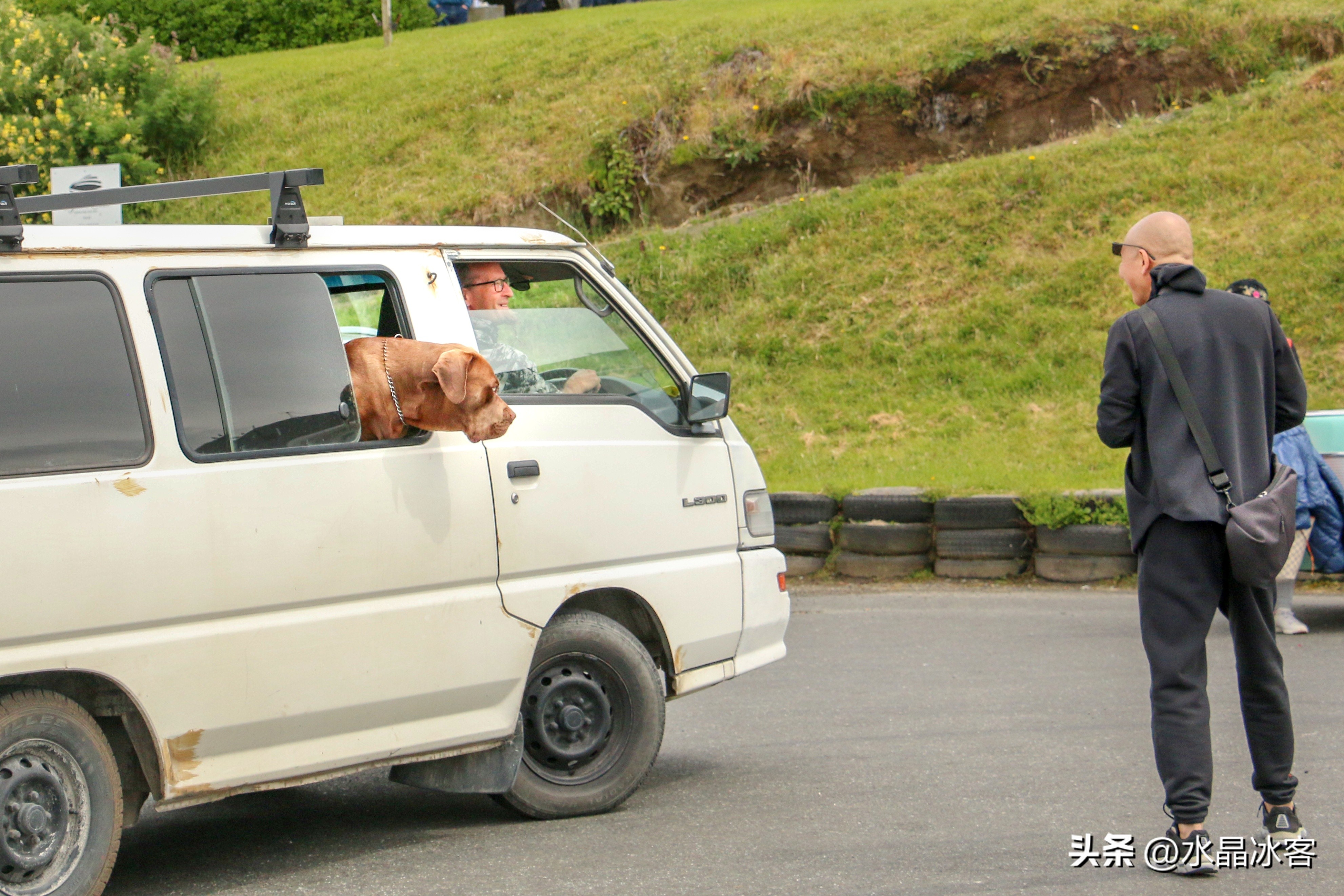 南岛新西兰之旅,新西兰之南岛