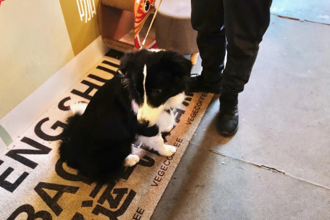 没想到有一天，在菜场被馋哭