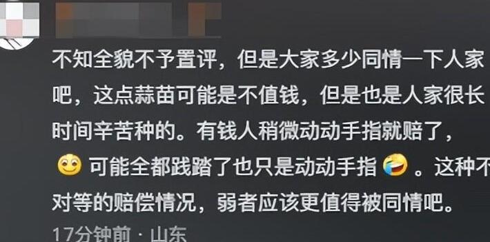 奔驰车堵路大妈疯狂砸车后续,大妈砸奔驰车事件