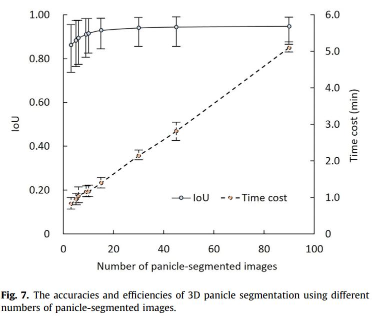 一种基于学习、轮廓形状和超体素聚类的低成本水稻穗三维建模方法
