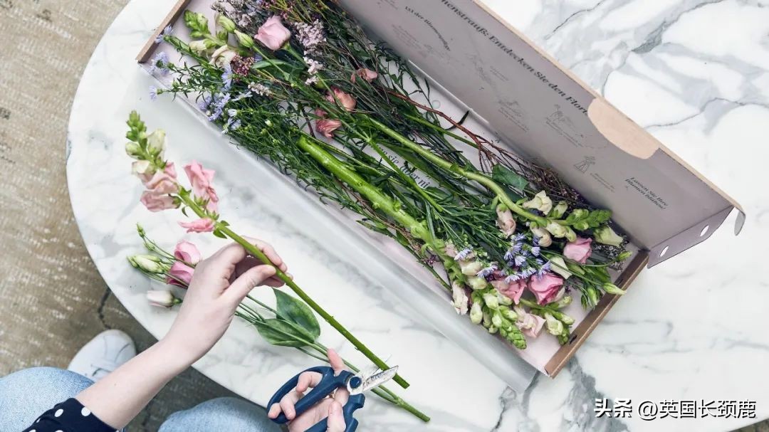 全英线上订花攻略:情人节限定fafa~爱你的心用花表示!