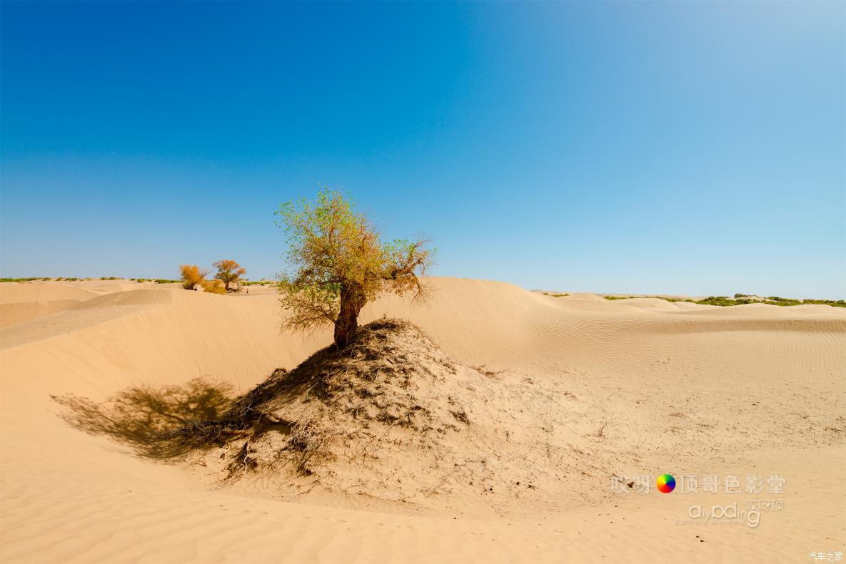 女司机带娃去新疆自驾游,带着女司机自驾游兰州